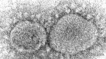 First omicron coronavirus variant case reported in NC - CNYcentral.com