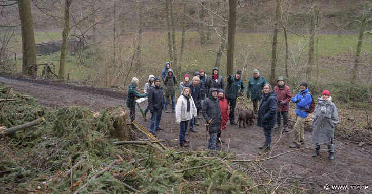 Heidelberg:  Im Mühltalwald herrscht wieder dicke Luft