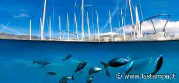 Federvela e One Ocean Foundation, una alleanza per il mare - La Stampa