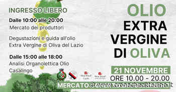 Colleferro. Domenica 21 Novembre presso il mercato coperto la Pro-Loco propone un interessante incontro con l'olio extravergine d'oliva - Cronache Cittadine