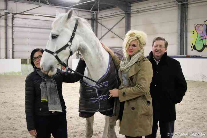 Equicoaching voor jongeren met ‘bagage’: “De paarden verstaan mijn situatie tenminste”
