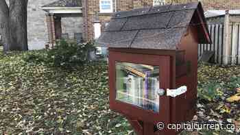 Little free libraries bringing joy of sharing to Old Ottawa East - capitalcurrent.ca