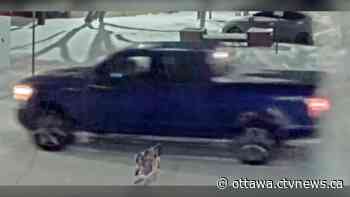 Ottawa police search for vehicle of interest in west end homicide - CTV News Ottawa