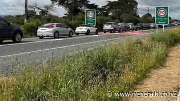 Covid 19 Delta outbreak: Traffic chaos at Waipu, Northland, pick-up spot for checkpoint sticker - New Zealand Herald