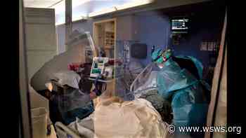 Delta coronavirus variant overwhelms US hospitals as Omicron variant looms large - WSWS