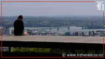 Focus: NZ Delta Outbreak | Saturday 11 December Wrap - New Zealand Herald