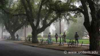 Provost's Campus Planning Update: November 2021 - UC Davis