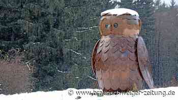 Natur-Erlebnispfade im Harz halten „Winterschlaf“