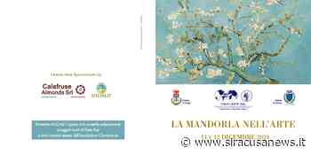 Floridia, due giorni dedicati a "La mandorla nell'arte": incontri, spettacoli e visite guidate - Siracusa News