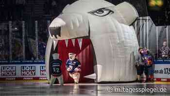 Die Eisbären Berlin in der Saison 2021/22: Die Eisbären siegen 3:1 gegen die Kölner Haie - Liveblog - Sport - Tagesspiegel