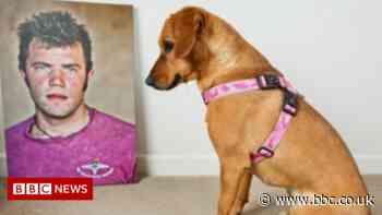 Conrad Lewis: Soldier's dog wins inspirational pet award