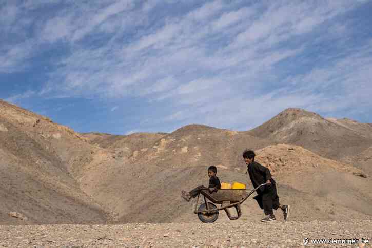Wereldbank maakt 280 miljoen vrij voor medische hulp en voedsel voor Afghanistan