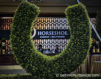 Hogan and Scott Open Sportsbook At Horseshoe Casino - CBS Baltimore