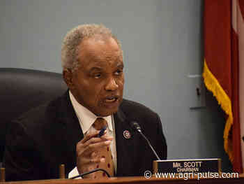 Daybreak Dec. 10: Scott eyes early 2022 for farm bill hearings, climate bill - Agri-Pulse