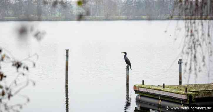 Subtropische Luft bringt Deutschland bis zu 13 Grad