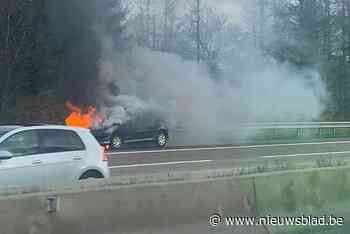 Auto vliegt in brand op E313 in Beringen