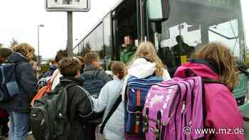 Zählungen in zwei Bussen im Landkreis Wittenberg beendet - Mitteldeutsche Zeitung