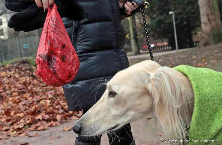 Die Nachrichten am Morgen für Mannheim und die Region: Probleme mit Hundekot in Ludwigshafen, Weihnachtsmärkte, Corona-Lage aus israelischer Sicht - Metropolregion - Mannheimer Morgen