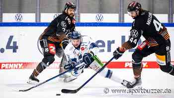 Noch mal wie in Mannheim? Grizzlys steht in Straubing das nächste Geisterspiel bevor - Sportbuzzer
