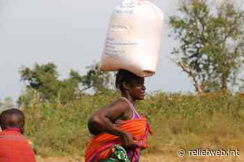 Conflict, economic fragility and rising food prices drive up hunger in West and Central Africa - Burkina Faso - ReliefWeb