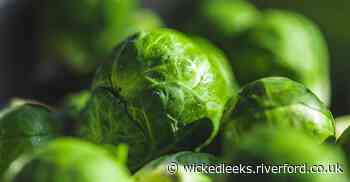 Roots to Fruits: Love sprouts, hate food waste - Wicked Leeks