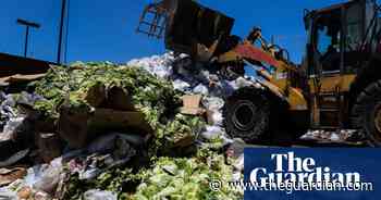 California tackles food waste with largest recycling program in US - The Guardian