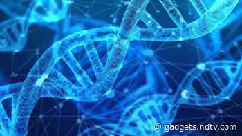 Australian Police Say They Are Using Advanced DNA Technology to Identify Crime Suspects