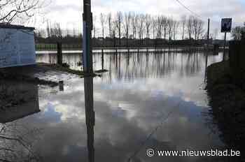 Wateroverlast in streek rond Oudenaarde: brandweer kreeg 35 ... (Oudenaarde) - Het Nieuwsblad