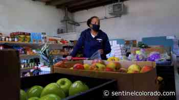 Free food market in Aurora bridges gap between food waste and hunger - Sentinel Colorado