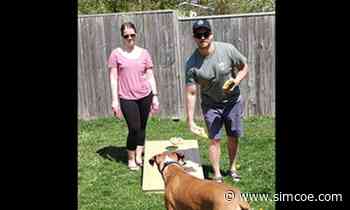 Moondog Cornhole Company launches league in Alliston - simcoe.com