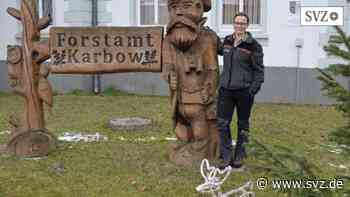 ASP in Ludwigslust-Parchim : Schweinepest versetzt Forstamt Karbow in den Ausnahmezustand | svz.de - svz – Schweriner Volkszeitung