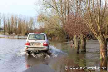 Hevige regenval laat meersen en wachtbekkens vollopen, geen huizen bedreigd