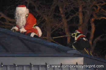 Santa spotted installing lights on Comox Valley RCMP station roof - Comox Valley Record