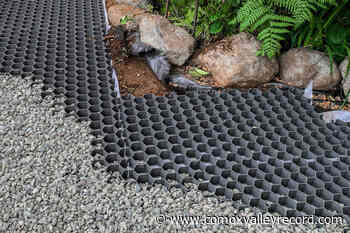 Comox eco-landscaping founder honoured with grant – Comox Valley Record - Comox Valley Record