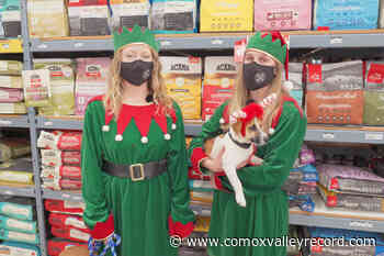 Don’t miss the 12 Deals of Christmas! - Comox Valley Record