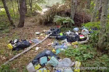 Comox Strathcona Waste Management holds off on new bylaw dispute system – Comox Valley Record - Comox Valley Record