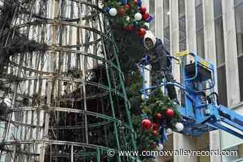 Giant Christmas tree outside Fox News headquarters set on fire - Comox Valley Record