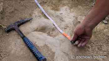Footprints show some two-legged dinosaurs were agile