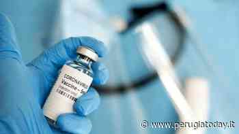 Coronavirus, vaccini in farmacia: a Foligno 2091 prenotati e 382 somministrazioni - PerugiaToday