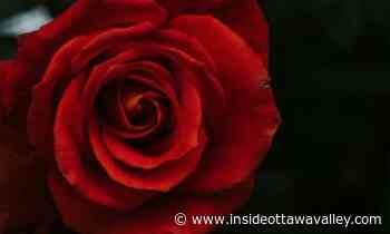 Carleton Place mayor speaks out against gender-based violence; remembers victims of Montreal massacre - Ottawa Valley News