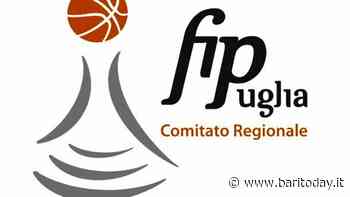 Lunedì a Bari la Festa del basket pugliese con Petrucci e Basile - BariToday