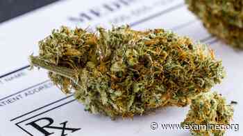 Committee seeks input on potential medical marijuana dispensary in West Liberty - Bellefontaine Examiner