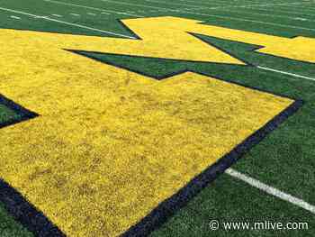 Michigan QB JD Johnson comes out of medical retirement, enters transfer portal - MLive.com