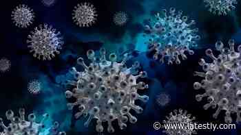 COVID-19 Treatment: Malaria Drug May Protect Lung Cells Against Coronavirus - LatestLY