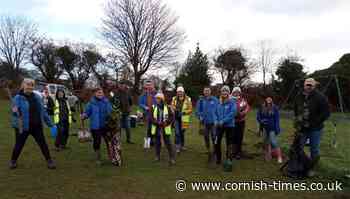 Forest for Cornwall progress in South East Cornwall - The Cornish Times