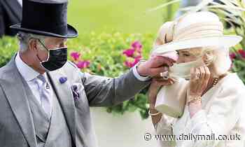 Prince Charles helps Duchess of Cornwall adjust her face mask in his Christmas card - Daily Mail