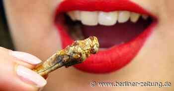 Ernährung: In 30 Jahren essen wir weniger Fleisch und mehr Insekten - Berliner Zeitung