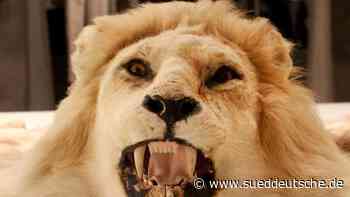 Goldglanz im Bunker: Ausstellung zeigt Adel im Ruhrgebiet - Süddeutsche Zeitung