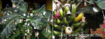 12 Strange Christmas Customs You Probably Don’t Know