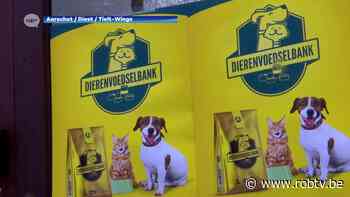 Aarschot, Diest en Tielt-Winge starten morgen samen met nieuwe dierenvoedselbank - ROB-tv